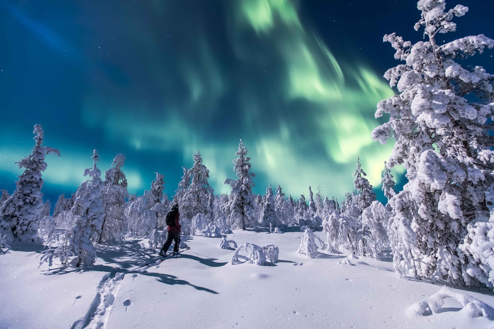 Northern Lights Hunting